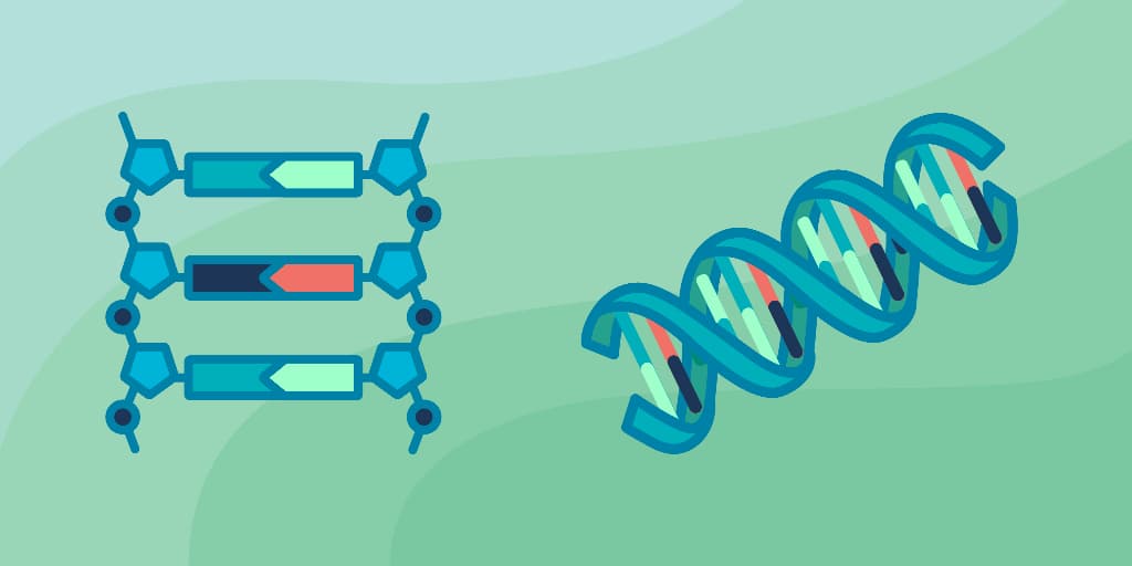 Bioinformatics Algorithms