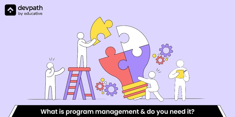 What is program management?